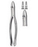 Tooth Extracting Forceps  